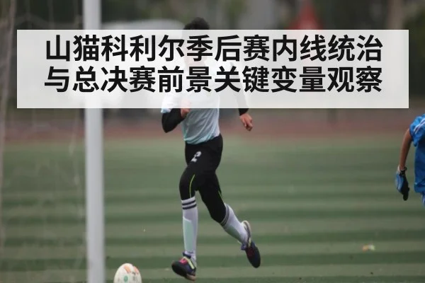 山猫科利尔季后赛内线统治与总决赛前景关键变量观察
